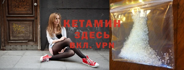 прущие грибы Вязьма