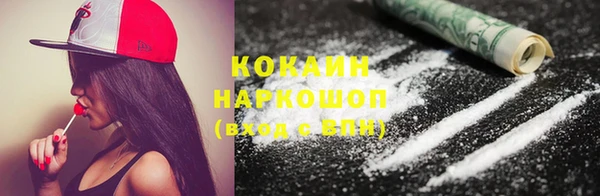 спиды Вяземский