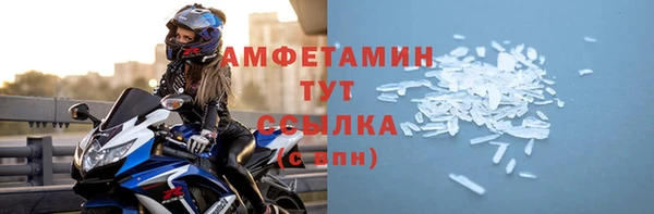 прущие грибы Вязьма