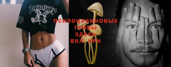 мдпв Вязники