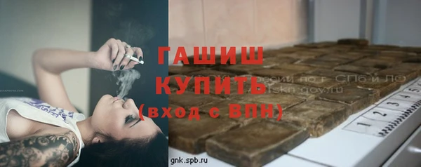 прущие грибы Вязьма
