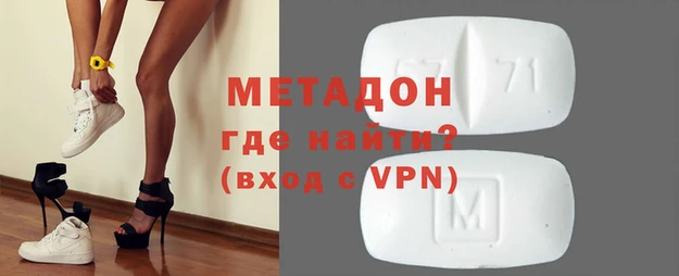 прущие грибы Вязьма