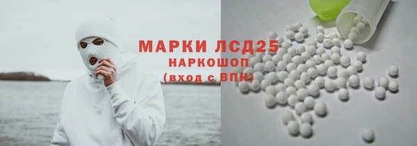 прущие грибы Вязьма