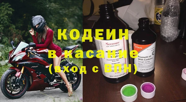 прущие грибы Вязьма