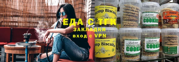 спиды Вяземский