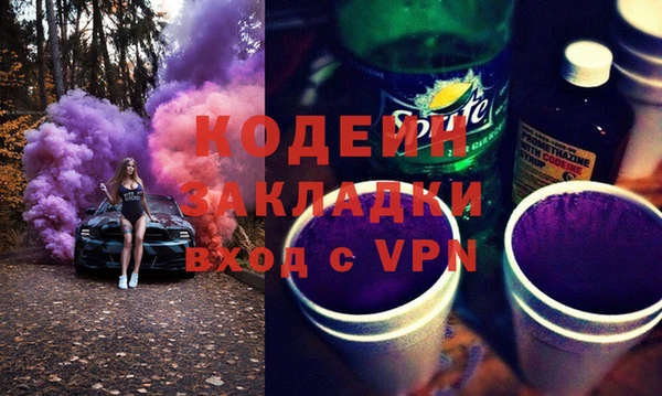 прущие грибы Вязьма