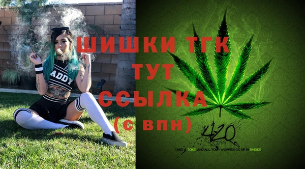 спиды Вяземский